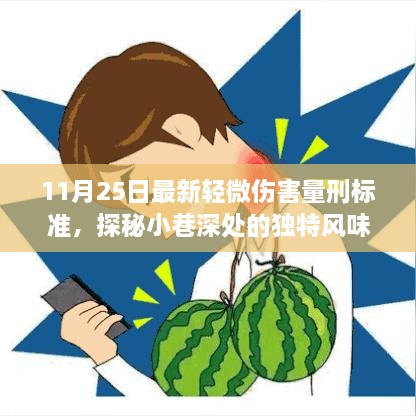 探秘小巷深处的美食瑰宝，最新轻微伤害量刑标准下的独特风味美食