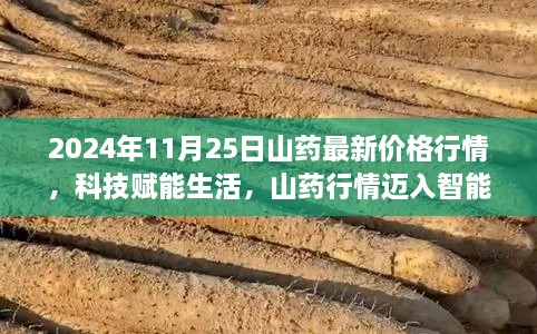 科技赋能下的山药行情，解析2024年山药最新价格行情及智能时代趋势