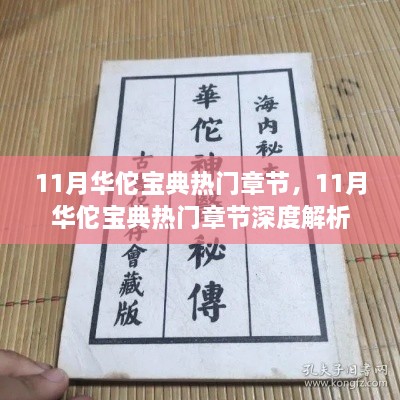 11月华佗宝典热门章节及其深度解析概览