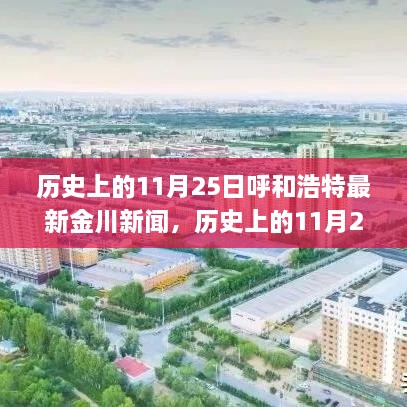 历史上的11月25日呼和浩特金川新闻深度解析，新闻获取与了解过程的初学者与进阶用户指南