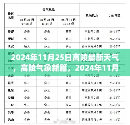 2024年11月25日高陵最新天气纪事及气象新篇