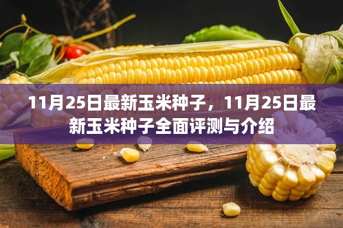 最新玉米种子评测与介绍，11月25日玉米种子全面展示