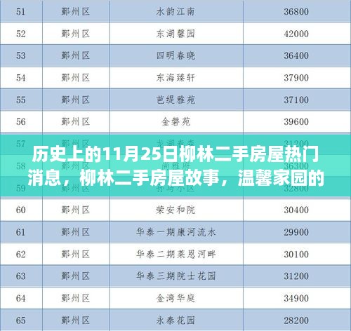 柳林二手房屋故事，温馨家园的奇遇与深厚友情——11月25日热门消息回顾