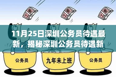 揭秘深圳公务员待遇新篇章，深度洞察下的待遇更新（11月25日）