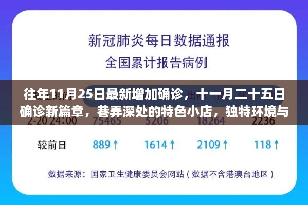 十一月二十五日新增确诊下的探索之旅，巷弄深处特色小店的独特环境与故事