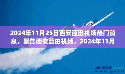 聚焦热议，西安蓝田机场2024年11月25日观点碰撞与个人立场