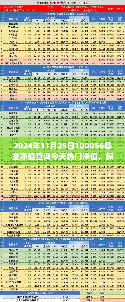 今日热门净值之星，深度解析2024年11月25日基金净值及市场动态