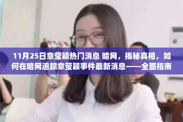 章莹颖事件暗网追踪全面指南，揭秘真相与最新消息，警惕违法犯罪风险！