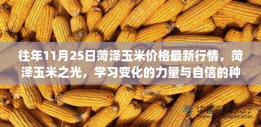 菏泽玉米最新行情，学习变化的力量，播种自信的种子