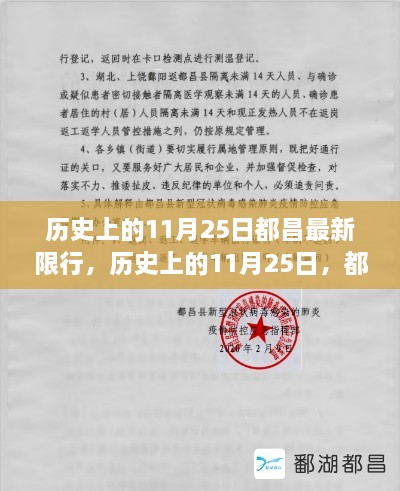 历史上的11月25日都昌限行新篇章，自信与成就之光展现变化之路