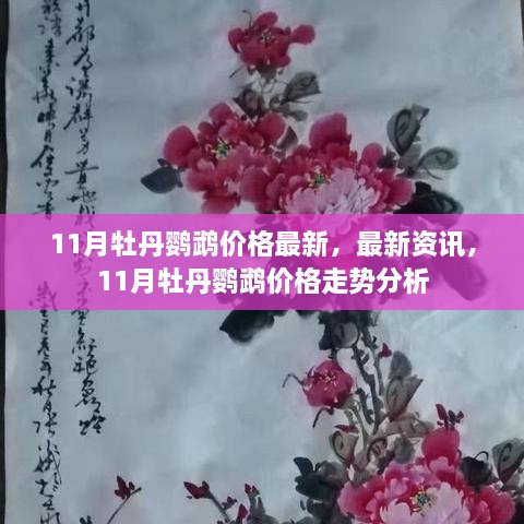 张牙舞爪 第16页