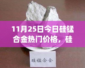 硅锰合金市场风向标，深度解析今日价格走势（最新报告）