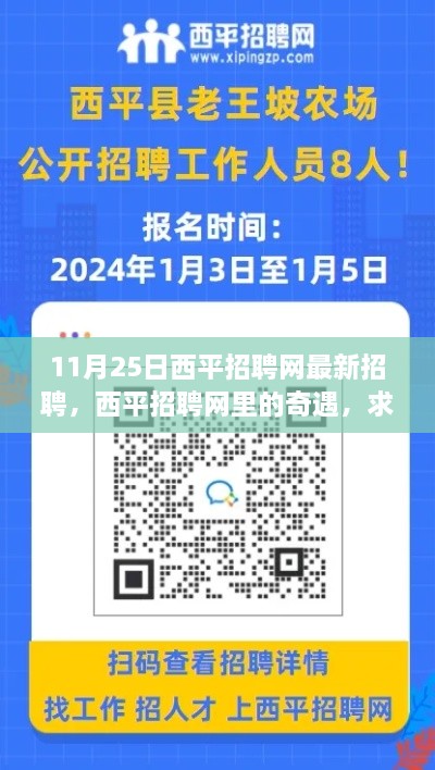 西平招聘网最新招聘，求职路上的温暖奇遇记