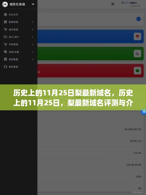 历史上的11月25日，梨最新域名评测与介绍