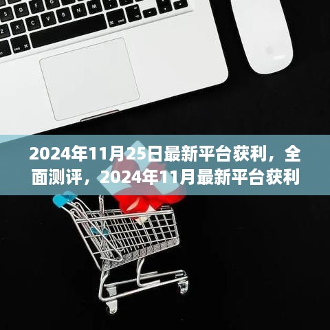 2024年11月最新平台获利深度解析与全面测评