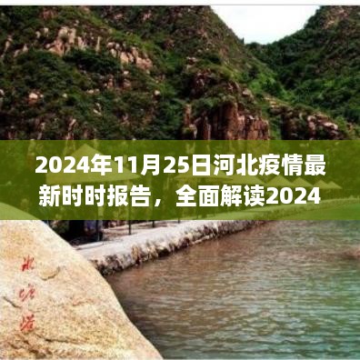 2024年11月25日河北疫情最新实时报告解读，特性、体验、竞品对比及用户群体分析