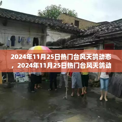 台风天鸽最新动态解析，多方观点与个人立场探讨（2024年11月25日）