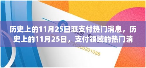 历史上的11月25日支付领域热门消息回顾与深远影响探讨