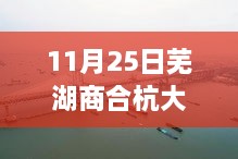 芜湖商合杭大桥最新进展，11月25日全新视角展现壮丽风采