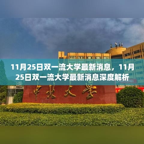 11月25日双一流大学最新消息深度解析与解读