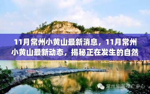 揭秘常州小黄山11月最新自然与人文奇迹动态速递