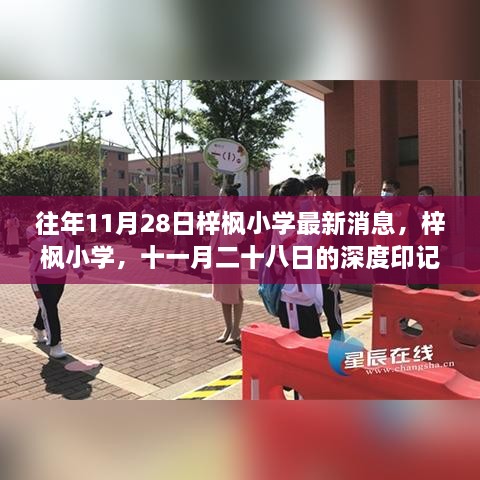 梓枫小学十一月二十八日深度印记，最新消息汇总