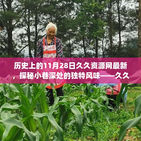 历史上的11月28日久久资源网最新发现，小巷深处的独特风味特色小店探秘