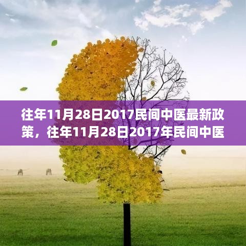 深度解读与分析，2017年民间中医最新政策及其影响分析