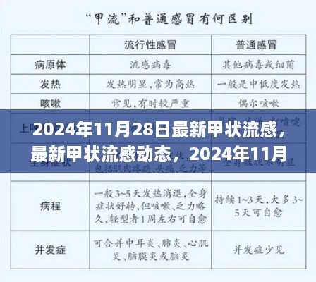 最新甲状流感动态深度解析与应对策略（2024年11月28日版）