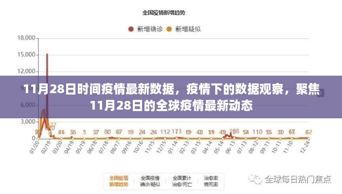 11月28日全球疫情最新动态数据报告，疫情下的观察与聚焦