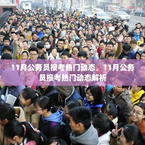 11月公务员报考热门动态解析，洞悉报考趋势与要点