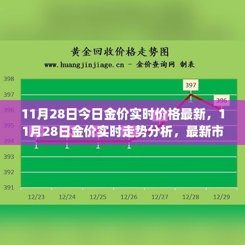 揭秘最新市场动态，11月28日金价实时走势分析与市场动态