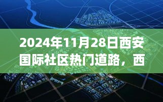 西安国际社区温馨大道奇遇记，陪伴与温暖的日子，2024年11月28日纪实