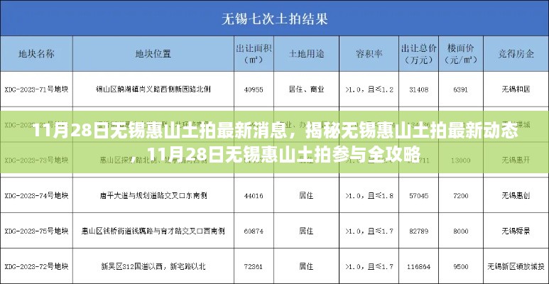 11月28日无锡惠山土拍最新消息及参与全攻略