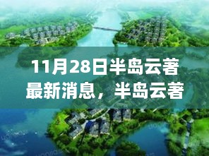 半岛云著最新动态深度解析，11月28日最新消息与我的观点