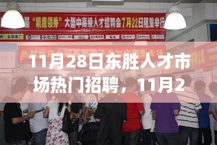 11月28日东胜人才市场热门招聘深度解析与介绍