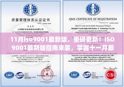 ISO 9001最新版十一月指南，掌握最新质量管理标准重磅更新！