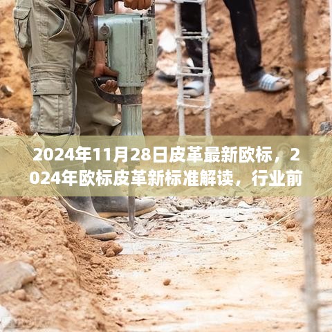 2024年欧标皮革新标准解读及行业趋势洞察