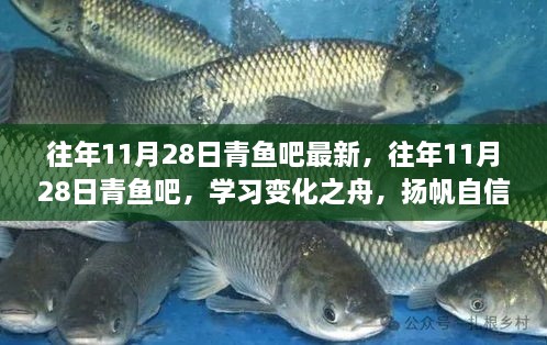 往年11月28日青鱼吧，扬帆自信与成就感的海洋，学习变化之舟启航时刻