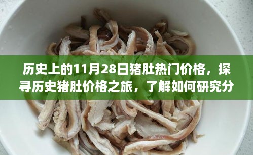 探寻历史猪肚价格，揭秘11月28日的猪肚热门价格走势及分析技巧