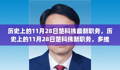 多维视角下的楚科纬职务变动解析，历史上的11月28日新职务揭秘