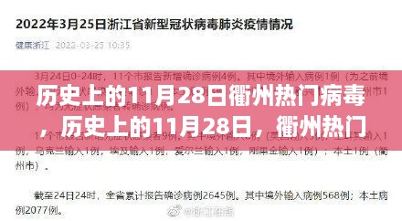 历史上的11月28日，衢州热门病毒背后的励志故事，激发学习力量与自信之光