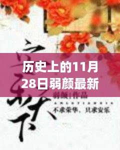 历史上的11月28日，弱颜最新小说探秘之旅