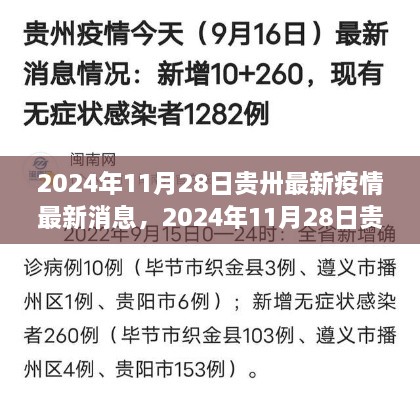 深度解析，贵州疫情现状及其影响——2024年11月28日最新疫情消息