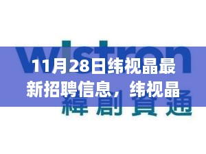 纬视晶最新招聘信息揭秘，职场机遇与挑战深度剖析与观点碰撞