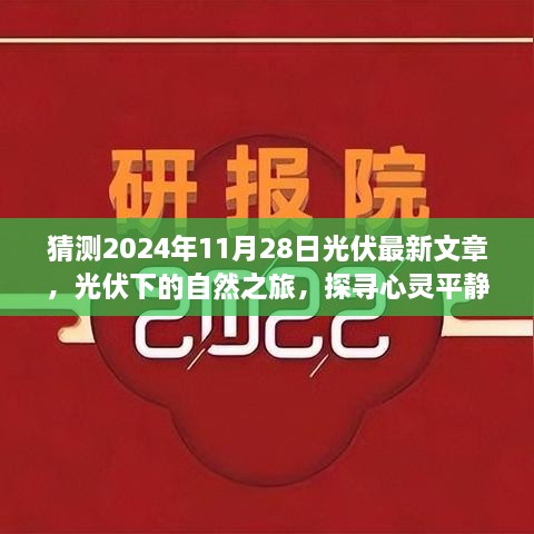 揭秘光伏秘境，启程探寻心灵平静的秘境，探寻光伏盛宴的未知之旅（2024年预测）