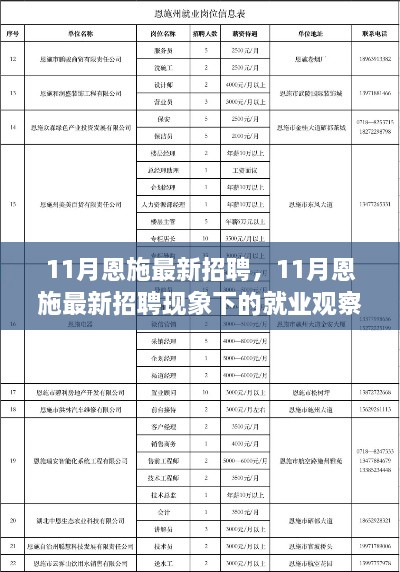 11月恩施最新招聘现象下的就业观察与个人立场