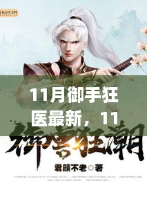 11月御手狂医最新全面评测与介绍