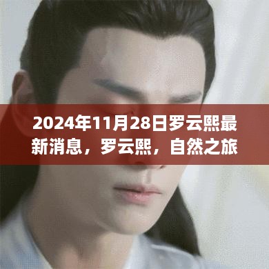 罗云熙心灵宁静之旅，自然之旅最新篇章揭晓，最新消息曝光于2024年11月28日