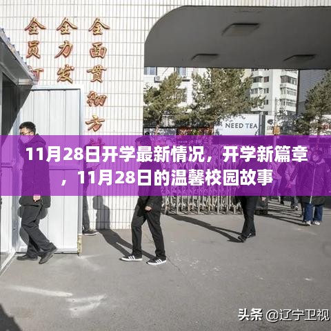 11月28日开学新篇章，温馨校园故事开启